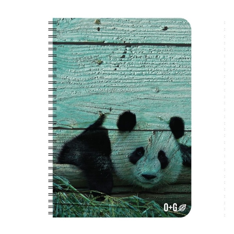 Onyx + Green Notebook Sugar Cane Paper 4 x 6 inches
