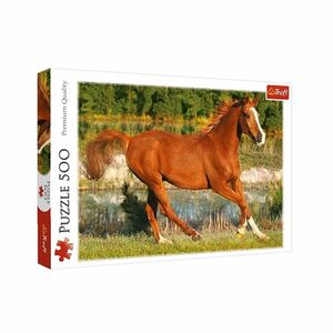 Trefl The Beauty Of Gallop Jigsaw Puzzle 48 X 34 cm (500 Pieces)