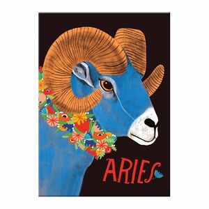 Emily Mcdowell Aries Magnets