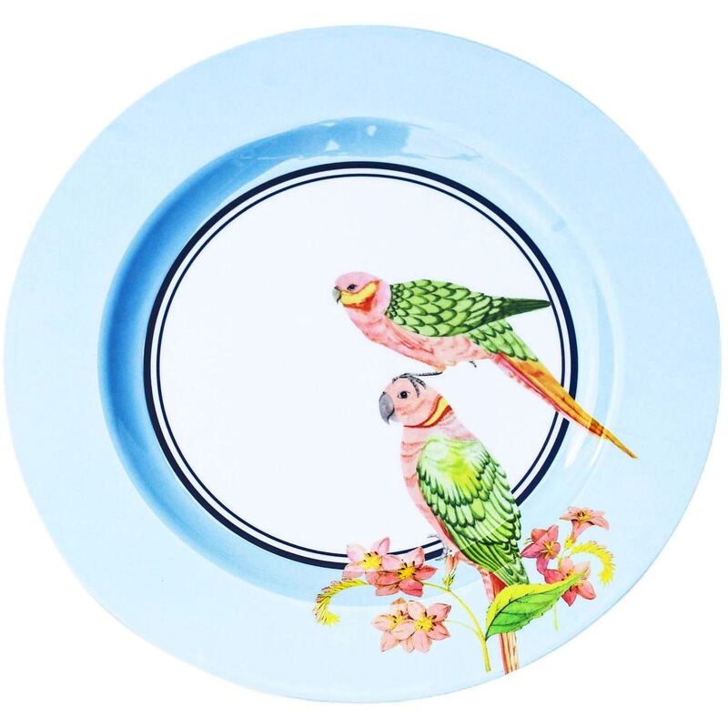 Yvonne Ellen Picnic Dinner Plates (Set of 4)