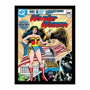 Wonder Woman Eagle Framed 30 x 40cm