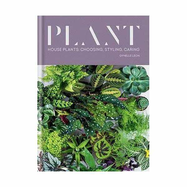 Plant - House Plants - Choosing, Styling, Caring | Gynelle Leon