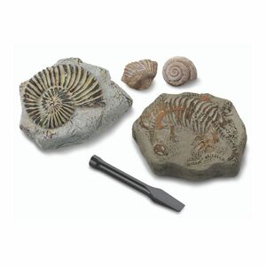 Discovery Mindblown Excavation Kit Mini Fossil