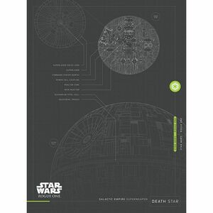 Pyramid Posters Star Wars Rogue One Death Star Plans Canvas Print (60 x 80 cm)