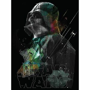 Pyramid Posters Star Wars Rogue One Darth Vader Lines Canvas Print (60 x 80 cm)