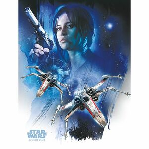 Pyramid Posters Star Wars Rogue One Jyn & X-Wings Canvas Print (60 x 80 cm)