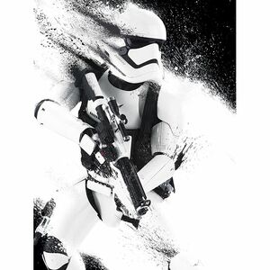 Pyramid Posters Star Wars Episode VII Stormtrooper Paint Canvas Print (60 x 80 cm)