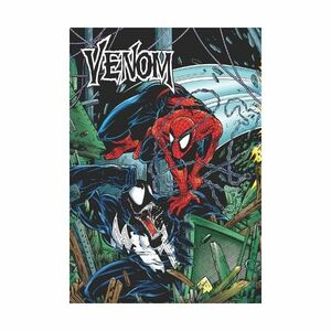 Venom By Michelinie & Mcfarlane Gallery Edition | Marvel Comics