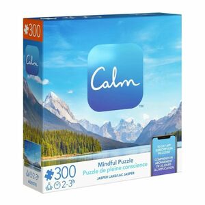 Spin Master Calm Mindful Jigsaw Puzzle Assorted (300 Pieces)