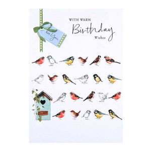 Hallmark with Warm Birthday Wishes Birds Greeting Card (138 x 202mm)
