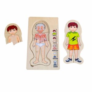 Mamamemo 5 Layer Anatomy Boy Wooden Puzzles