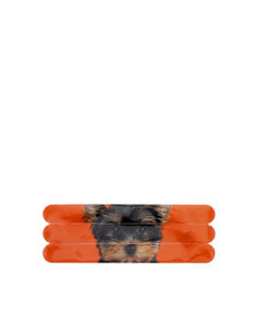 Cats Eye Yorkie On Orange Nail Files