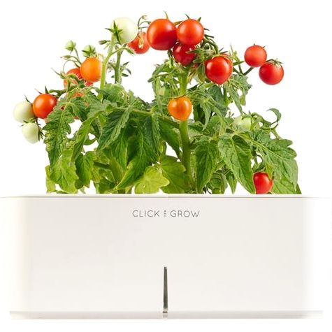 Click & Grow Starter Kit With Mini Tomato