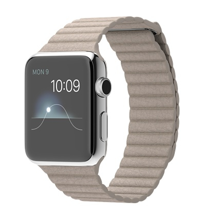 Apple Watch 42mm Stainless Steel Case Stone Leather Loop Medium
