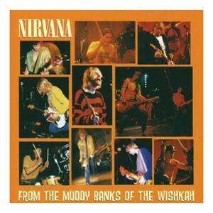From The Muddy Banks Of The Wishkah | Nirvana