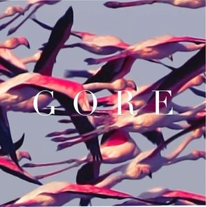 Gore (2 Discs) | Deftones