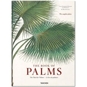Martius. The Book of Palms | H. Walter Lack