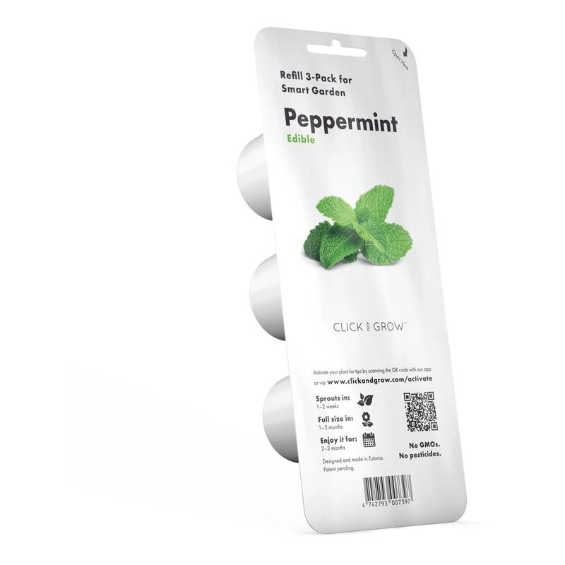 Click & Grow Peppermint Refill (Pack of 3)