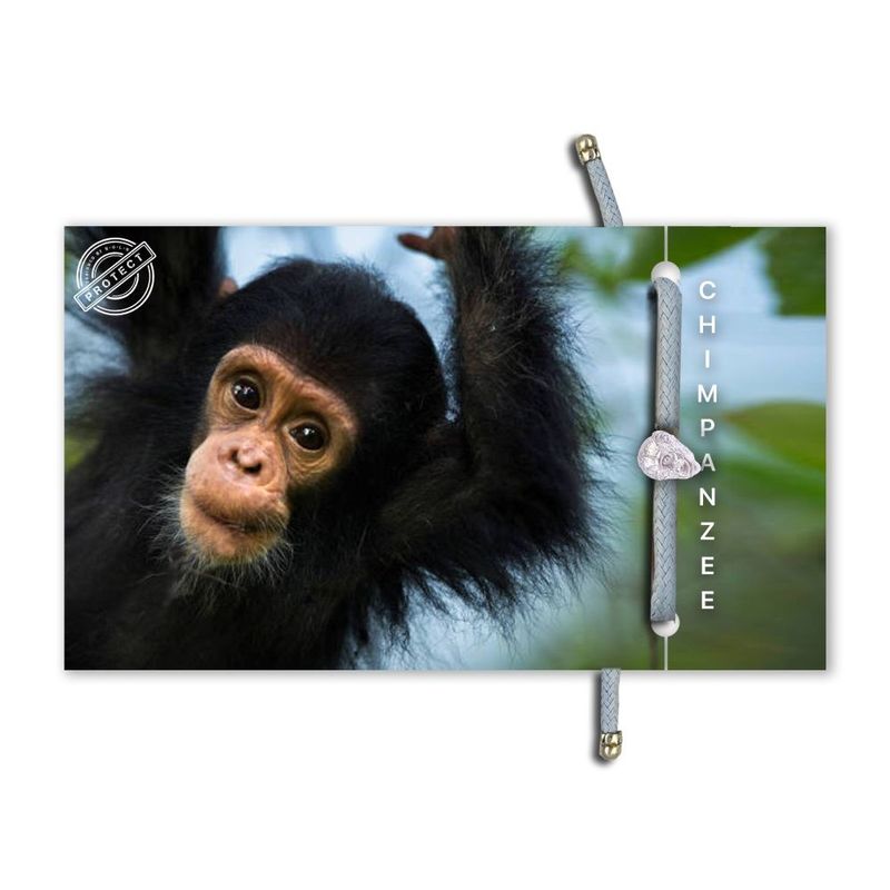 Native Bond Chimp Eco Bracelet