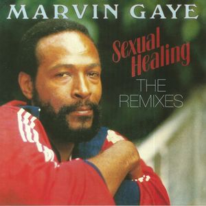 Sexual Healing The Remixes | Marvin Gaye