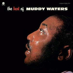 The Best of Muddy Waters Picture Disc | Muddy Waters