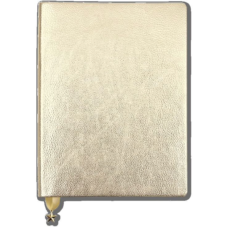 Go Stationery Metallic Light Gold All That Glitters A5 Diary Wtv Undated
