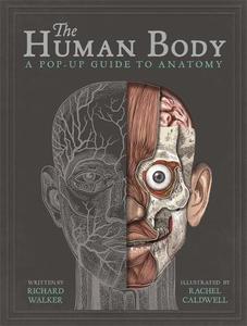 The Human Body A Pop-Up Guide to Anatomy | Richard Walker