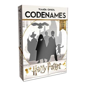 USAopoly Codenames Harry Potter Board Game