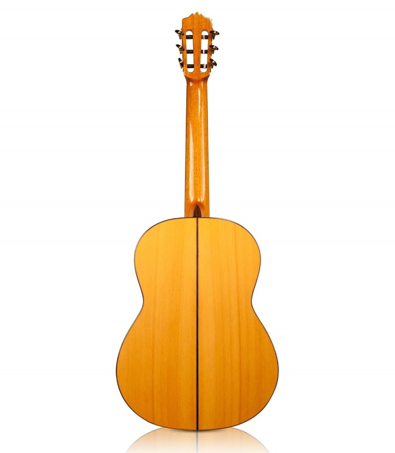 Cordoba F10 Flamenco Classical Guitar