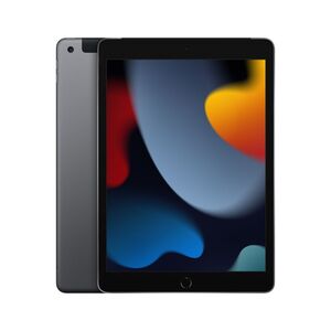 Apple iPad 10.2-Inch 2021 Wi-Fi + Cellular 64GB Tablet - Space Grey