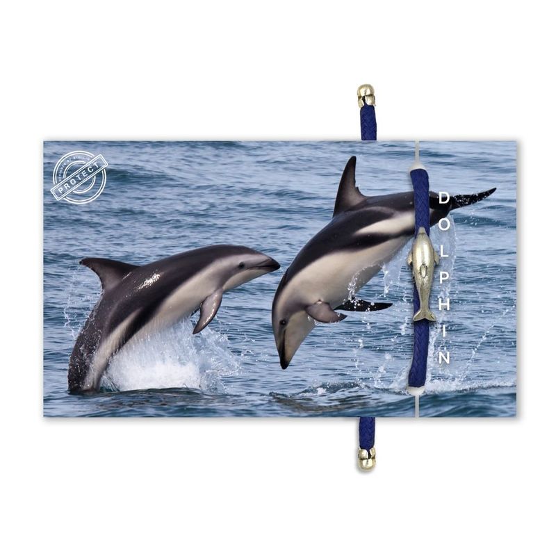 Native Bond Dolphin Endangered Eco Bracelet
