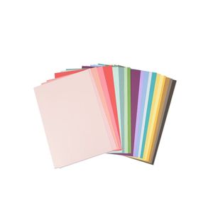 Sizzix Accessory Cardstock Sheets (Pack of 80/20 Colours)