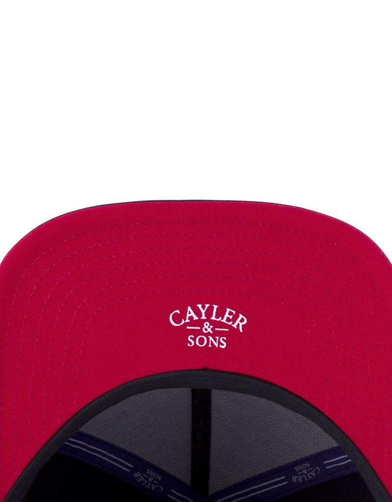 Cayler & Sons Northpaul Men's Cap Black/Mc
