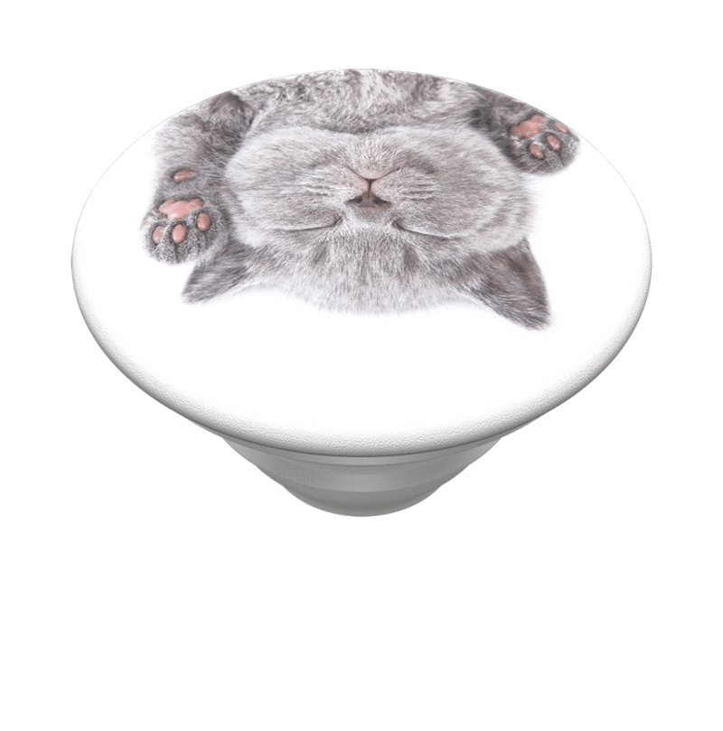 PopSockets Cat Nap PopGrip