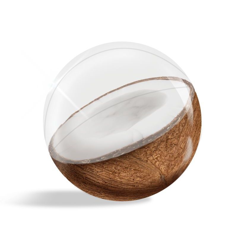 Inflatable 3D Beach Ball Coconut