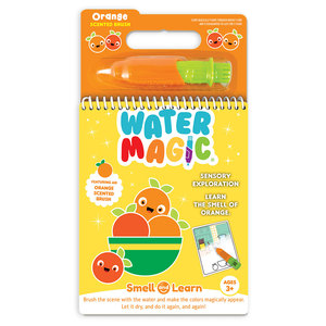 Scentco Scented Brush Water Magic Orange