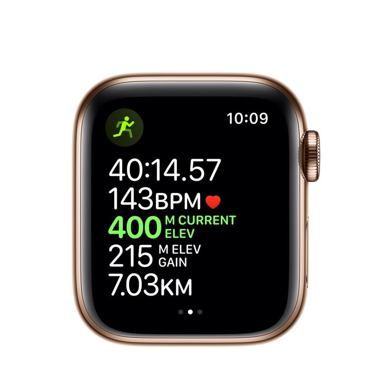 Apple Watch Series 5 GPS + Cellular 40mm Gold Stainless Steel Case with Stone Sport Band S/M & M/L