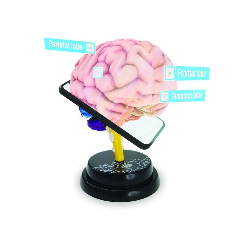 Eastcolight Ar Brain Professional Model