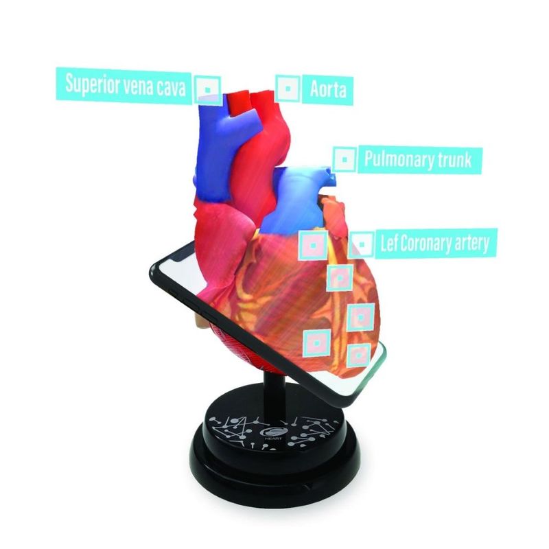 Eastcolight Ar Cardiology Professional Model