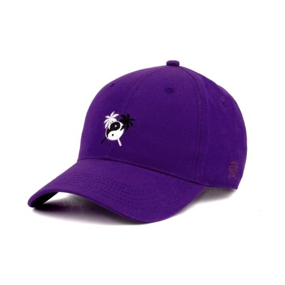 Cayler & Sons WL Easy Come Easy Go Curved Cap Purple/MC OS