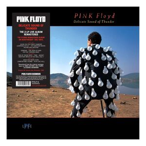 Delicate Sound Of Thunder (Remastered Edition) (2 Discs) | Pink Floyd