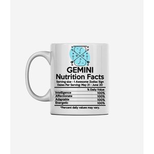 I Want It Now Gemini Mug 325ml