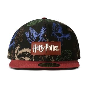 Difuzed Warner Harry Potter Snapback Cap - Black