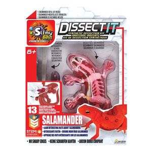 Slimy Lab Dissect It Lab Salamander Synthetic Dissection Kit