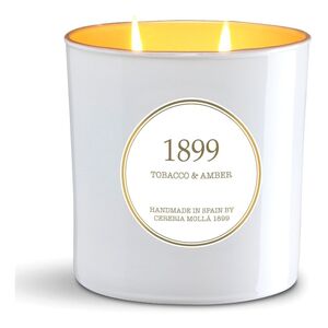 Cereria Molla 2 Wick xl Vegetable Wax Candle in glass 700gTobacco & Amber