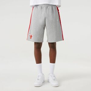 New Era NBA Side Panel Chicago Bulls Men's Walk Shorts Gray