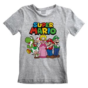Heroes Inc Nintendo Super Mario Vintage Group Unisex T-Shirt Heather Grey