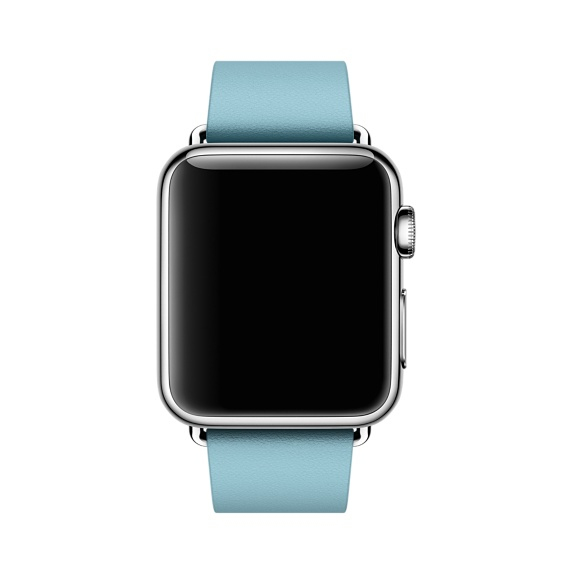 Apple Blue Jay Modern Buckle Medium Apple Watch 38mm (Compatible with Apple Watch 38/40/41mm)