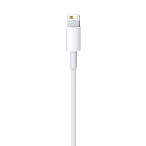 Apple Lightning to USB Cable 1M