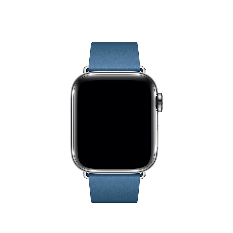 Apple 40mm Cape Cod Blue Modern Buckle Band for Apple Watch Large (Compatible with Apple Watch 38/40/41mm)